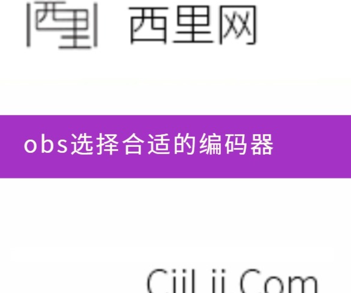 obs选择合适的编码器